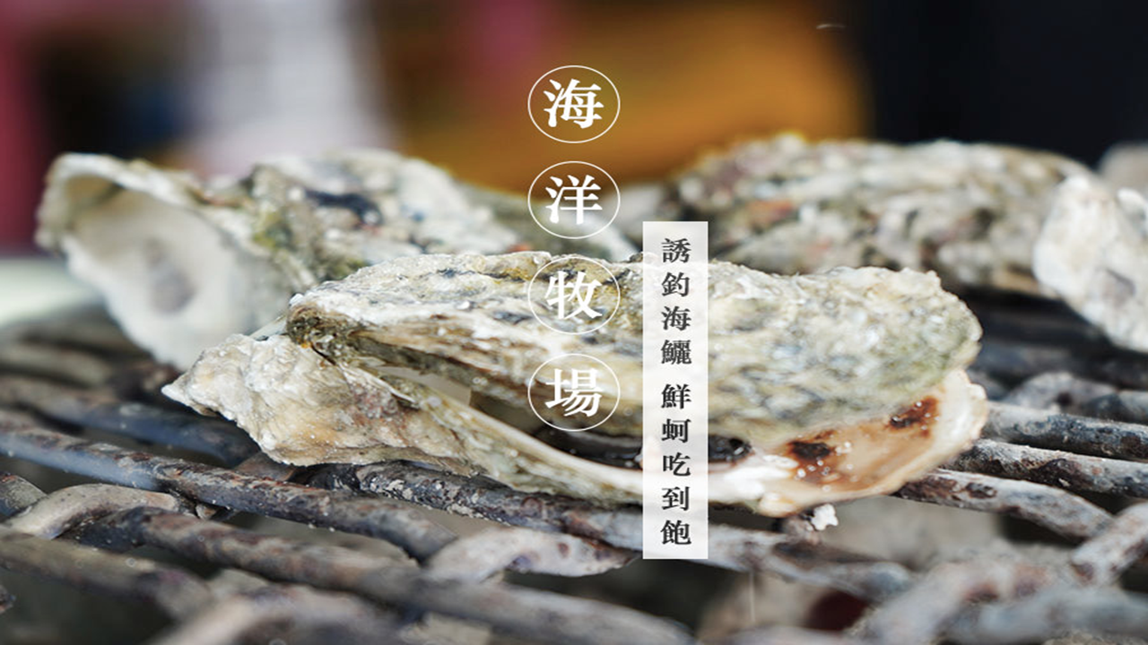 🎣觀光海田｜海洋牧場